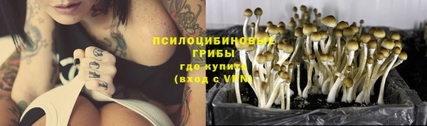 гашик Наволоки