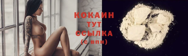гашик Наволоки