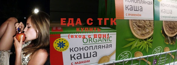 гашик Наволоки
