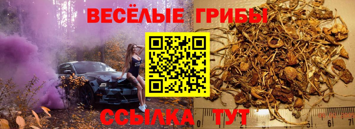 Барнаул  Псилоцибиновые грибы прущие грибы  Вход с VPN 